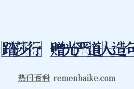 踏莎行·赠光严道人造句是什么意思的图片